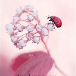 Meet your Posher, Aritza